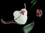 Luxury Jewellery Guide: Popular Designs, Gemstone Choices, Options and Care Tips