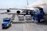 Air Cargo Services: Understanding Air Freight Operations, Handling and Delivery Processes
